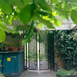 View Roots&Shoots: gate to the garden