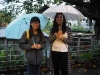 umbrellagirls