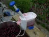kitchen_cherries