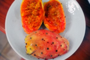 opuntia fruit